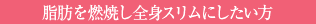 脂肪を燃焼し全身スリムにしたい方