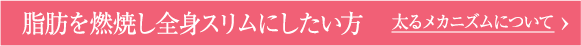 脂肪を燃焼し全身スリムにしたい方 太るメカニズムについて