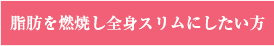 脂肪を燃焼し全身スリムにしたい方