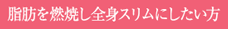 脂肪を燃焼し全身スリムにしたい方