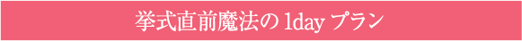 挙式直前魔法の1dayプラン