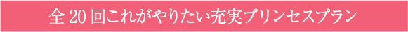 全20回これがやりたい充実プリンセスプラン