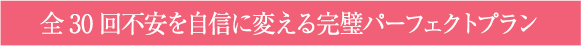 全30回不安を自信に変える完璧パーフェクトプラン