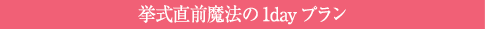 挙式直前魔法の1dayプラン