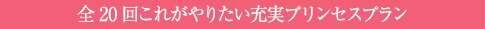 全20回これがやりたい充実プリンセスプラン