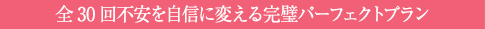 全30回不安を自信に変える完璧パーフェクトプラン