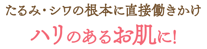 たるみ・シワの根本に直接働きかけハリのあるお肌に!