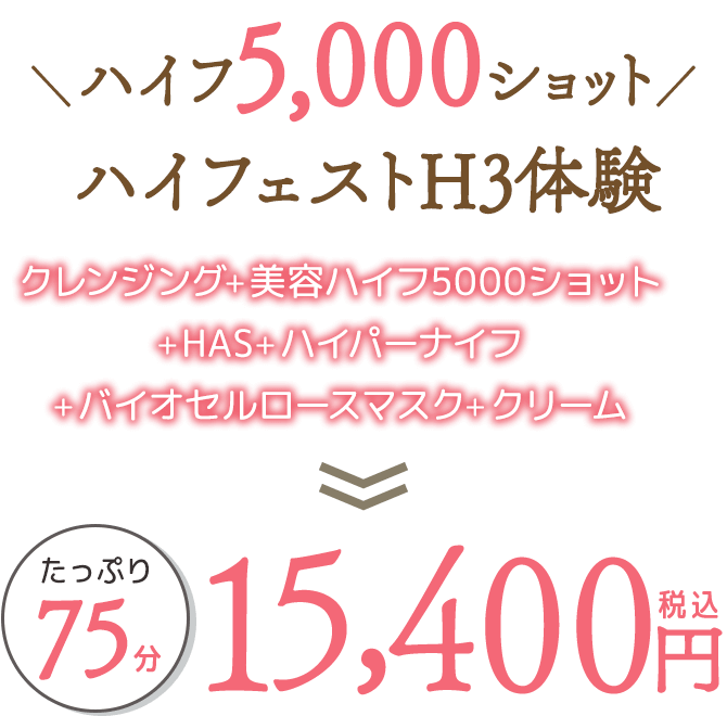 ハイフ5,000ショット ハイフェストH3体験 クレンジング+美容ハイフ5000ショット+HAS+ハイパーナイフ+バイオセルロースマスク+クリーム たっぷり75分 15,400円(税込)