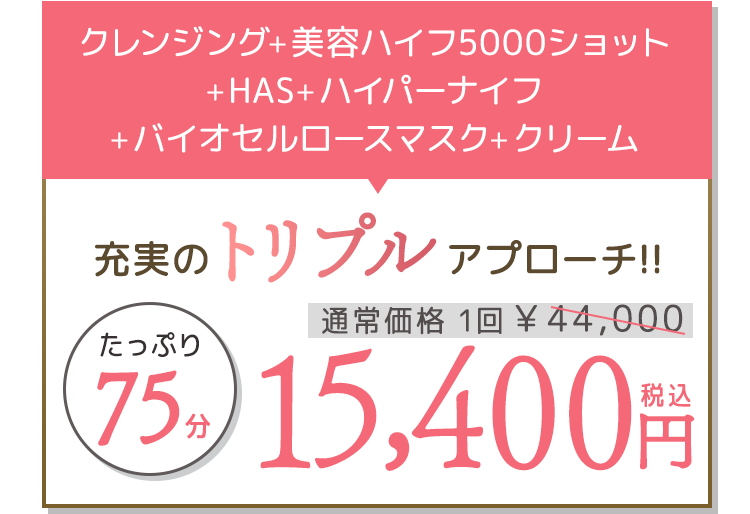 クレンジング+美容ハイフ5000ショット+HAS+ハイパーナイフ+バイオセルロースマスク+クリーム たっぷり75分 15,400円(税込)