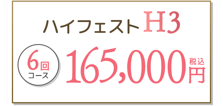 ハイフェストH3 6回コース 165,000円(税込)