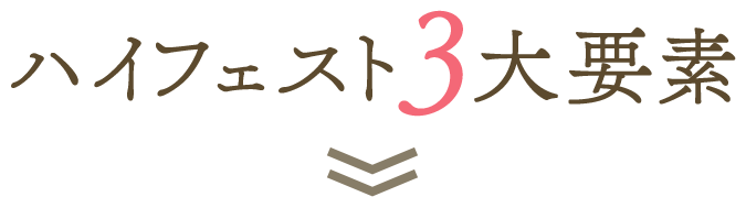 ハイフェスト 大要素