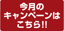 今月のキャンペーンはこちら