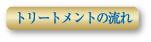 トリートメントの流れ